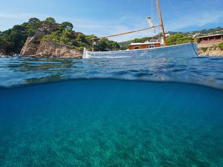 Ancrage et posidonies : les règles varient...