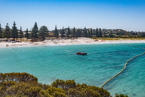 Pourquoi les filets anti-requins en Australie sont un échec écologique ?