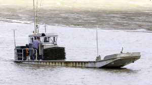 Des WC sur des barges d’huîtres ? Les ostréiculteurs dénoncent une mesure absurde