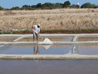 L'île de Ré, le pays de l'or blanc