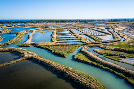 Nautisme Article