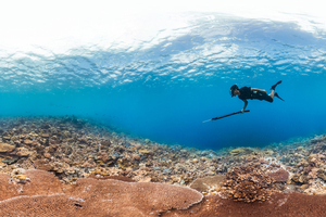 Chasse sous-marine : un cadre légal renforcé… et des bonnes pratiques plus essentielles que jamais
