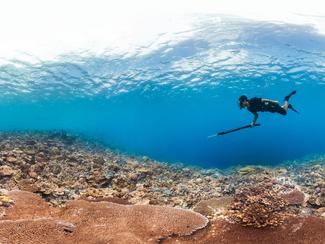 Chasse sous-marine : un cadre légal renforcé…...