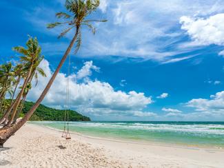 Les destinations incontournables de novembre