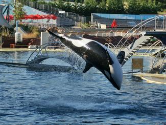 Marineland exhorte les pouvoirs publics à agir...