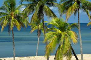 Archipel de Los Canarreos : un chapelet d’îles au cœur du paradis cubain
