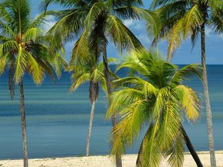 Archipel de Los Canarreos : un chapelet d’îles...