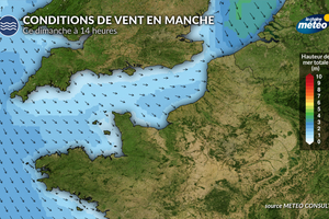 Quelles conditions météo pour le départ de la Transat Café l’Or ce dimanche ?