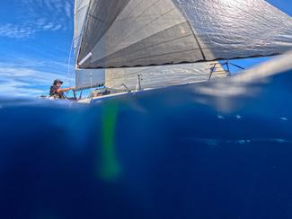 Mini-Transat La Boulangère : le peloton se...