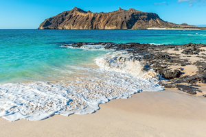 En novembre, direction les îles Galápagos !