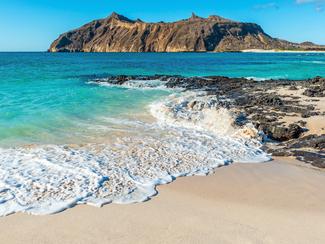 En novembre, direction les îles Galápagos !