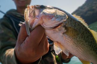 Le bar en hiver : règlementation, zones et astuces pour prolonger la saison