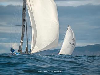 Transat Café L’Or : des skippers en pleine...