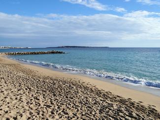 Top 5 des plages françaises où l’on peut...