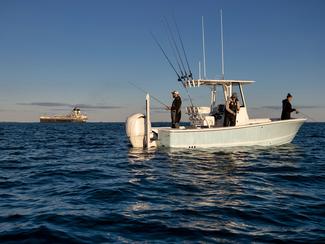Le lancer léger en mer : la technique la plus...
