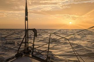 Transat Café L'Or : Martinique en vue ?