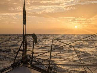 Transat Café L'Or : Martinique en vue ?