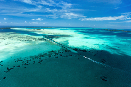 German Channel German Channel