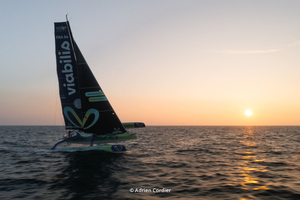 Transat Café L'Or : suivez en direct les arrivées des premiers Ocean Fifty