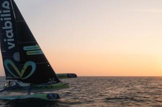 Transat Café L'Or : suivez en direct les arrivées des premiers Ocean Fifty