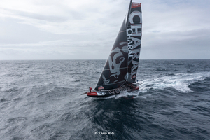 Transat Café L'Or : suivez en direct l'arrivée du premier IMOCA - CHARAL