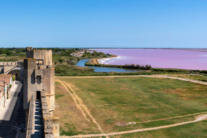 Découvrir la Camargue en automne : flamants, chevaux et lumière dorée