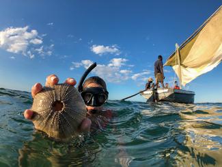 Bazaruto, sanctuaire du marlin : pêche...