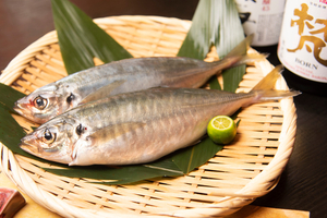 Le chinchard : petit poisson, grande saveur