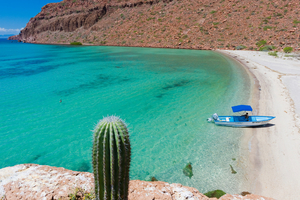 Mer de Cortés : d’Espíritu Santo à San José, la navigation la plus sauvage du Mexique