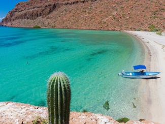 Mer de Cortés : d’Espíritu Santo à San José,...