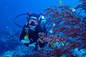 La plongée sous-marine, nouvelle piste pour soutenir la santé mentale des jeunes Européens