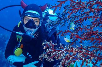 La plongée sous-marine, nouvelle piste pour soutenir la santé mentale de...