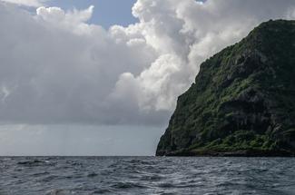 Transat Café L'Or : des diamants bruts