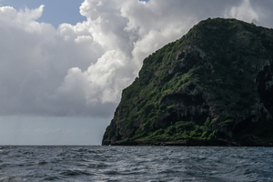 Transat Café L'Or : des diamants bruts