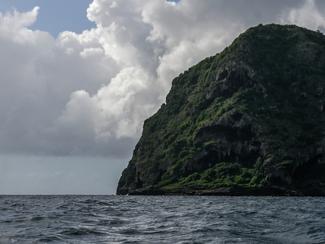 Transat Café L'Or : des diamants bruts