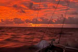 Transat Café L'Or : terre en vue pour les Class40