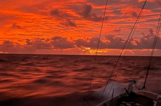 Transat Café L'Or : terre en vue pour les Class40