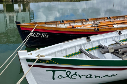 Les doris sont bichonnes comme des oeuvres d'art Les doris sont bichonnes comme des oeuvres d'art