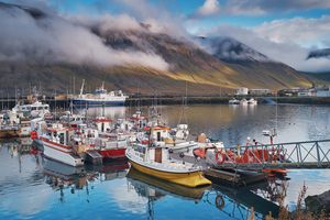 Pêcher en Islande : un paradis quasi annuel pour les passionnés