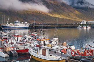 Pêcher en Islande : un paradis quasi annuel pour les passionnés