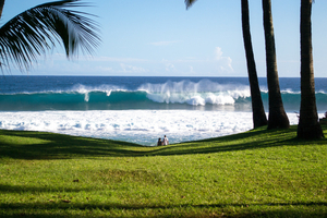 A La Réunion, après la crise requin, le surf reprend des couleurs
