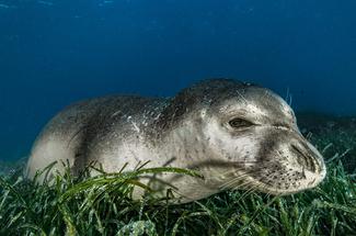 Festival Galathea 2025 : une 10e édition engagée, inspirante et tournée ...