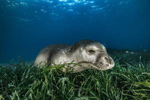 Festival Galathea 2025 : une 10e édition engagée, inspirante et tournée vers l’avenir