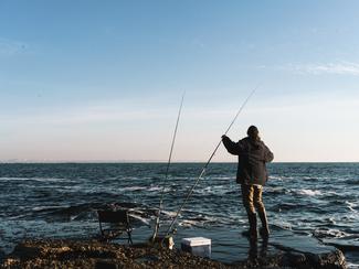 Merlan et tacaud : deux espèces accessibles...