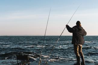 Merlan et tacaud : deux espèces accessibles qui animent les sorties hive...