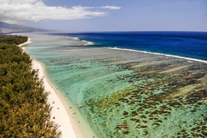 Snorkeling à La Réunion : immersion dans les cinq lagons emblématiques de l’île