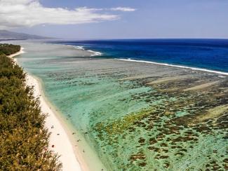 Snorkeling à La Réunion : immersion dans les...