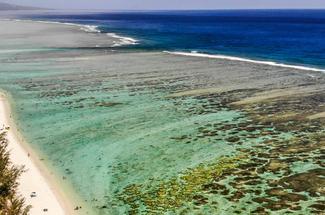 Snorkeling à La Réunion : immersion dans les cinq lagons emblématiques d...