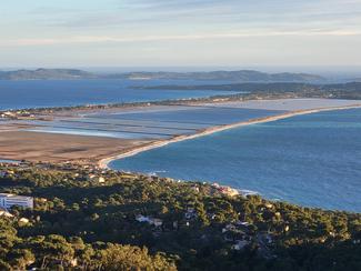 Le tombolo de Giens : paradis des oiseaux