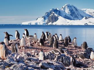 Observer la vie sauvage sur le pont d'un bateau